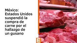 México: Estados Unidos suspendió la compra de carne por el hallazgo de un gusano