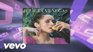 Julieta Venegas - Última Vez ((Cover Audio) (Video))