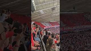 1. FC Köln - FC Bayer München | Super Stimmung im Stadion