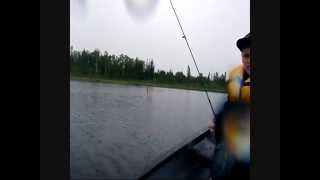 Wealthy Lakes Northern Pike fishing 08/03/2014