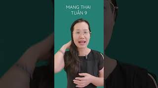 Mang thai tuần 9 | Nhâm Lan Hương