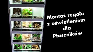 [PORADNIK]  Montaż regału z oświetleniem dla ptaszników