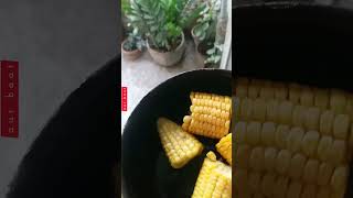 Corn, Energetic Breakfast for Pet Birds | Best Natural Bird Food | @menmouji Poetry & Fiction |