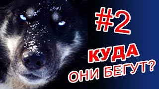 Едем в Эссо \ Подготовка к гонке\ Берингия 2019 \ Камчатка  #2