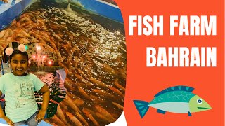 Places to visit in Bahrain|| Fish farm Bahrain