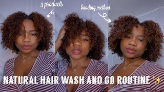 Natural Hair WASH AND GO Routine + banding method | Risha Tonae'