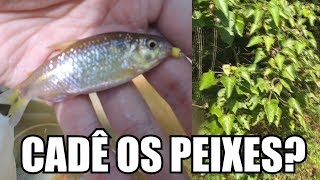 PESCARIA SEM PEIXE!! Pescaria caipira