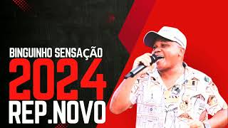 BINGUINHO SENSAÇÃO 4 MÚSICAS NOVAS REPERTÓRIO NOVO ATUALIZADO 2024