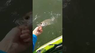 Ventania danada na pescaria 🫨 mas no final saiu uns peixinhos🐟