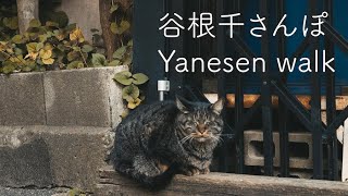 谷根千さんぽ Yanesen Walk