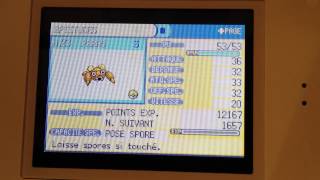 Paras Shiny au Parc Safari (VF) (moins de 30 rencontres)