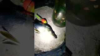 Pesca noturna de robalo na boinha 🎣✔ isca : camarão vivo