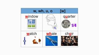 W/w, wh, u, o - [w] and the sounds or phonemes