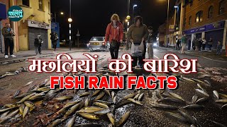 मछलियों की बारिश - Fish Rain | Animal Rain | Interesting Facts One Must Know | Viral Facts in Hindi