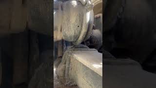 HEAVY HAUL | U Bolts, broken u bolts everywhere.#heavyhaul #failure #cummins #caterpillar #bigrig