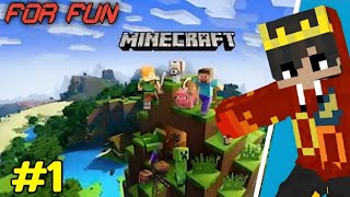 Minecraft for fun not real Survival series