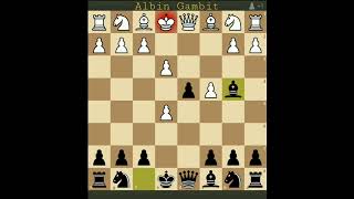 Albin Gambit #chess #kingsacrifice #AlbinGambit #chesstrap #chesstrick #chesslive