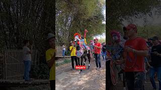 Kuda renggong sakura #kudarenggong #horsedance #kudajoget #laguviral