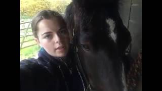 Georgina Truffle and Fred love their Cavallo Hoof Boots!