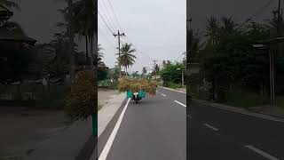 Boncingin apa sih kok ketakutan #motovlog