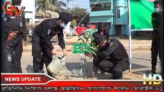 GTv Bangla.24 News 04/01/2021/শায়েস্তাগঞ্জে অর্ধশতাধিক ফলজ-বনজ গাছের চারা রোপন করল র‍্যাব