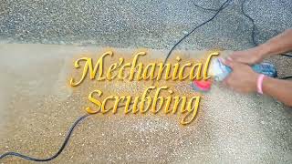 Cleaning of Pebbles Wash Out Flooring | KS Vlogs