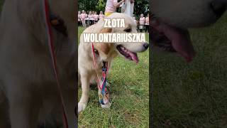 XXX Ogólnopolska Spartakiada Amazonek na Malcie w Poznaniu #goldenretriever Pies na wolontariacie