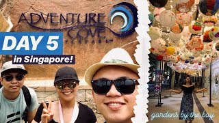 Exploring Singapore - Adventure Cove, Gardens by the Bay, Spectra & More (Vlog)