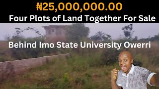 ₦25M($32,051)Four Plots of Land For Sale Behind Imo State University Owerri/Land For Sale in Owerri