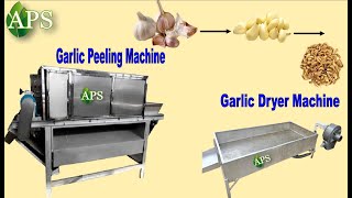 Garlic Peeling Machine And Garlic Dryer Machine In APS Industries