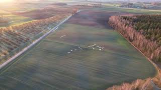 Agriculture Landscape- View From a Bird's Eye