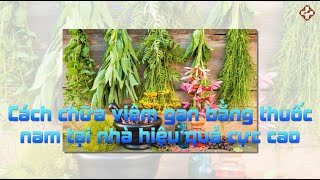 Cách chữa viêm gan bằng thuốc nam tại nhà hiệu quả cực cao