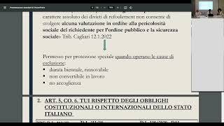 2) Convegno: “La protezione speciale: prassi e giurisprudenza”