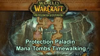 Mana-Tombs Timewalking - Protection Paladin POV