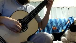 Remember Me (Classical Guitar) - Coco