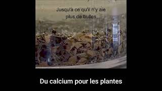 f02 amendement en calcium pour les plantes facile à faire