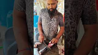 Amazing serang catfish cutting |#msfishcenter#shorts #short #fish #fishing