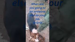 When are you#going to let someone else do your#job?#Dog#chicken#hunting