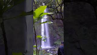 It's my life #shorts #waterfall #nature #airterjun #curug