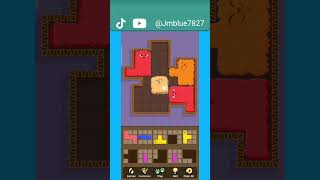 Puzzle cats #funny #games #shorts