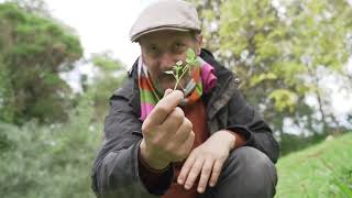 Foraging Liverpool