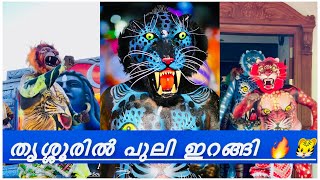 പുലിപ്പേടിയിൽ തൃശ്ശൂർ Thrissur Pulikkali 2024🐯തൃശ്ശൂർ പുലിക്കളി | Famous Onam Celebration | HARISH G