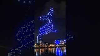 Drone Light show | Whale | ட்ரோன் ஒளி நிகழ்ச்சி - திமிங்கிலம் #travel #youtubeshorts