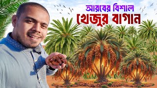 সৌদি বৃক্ষরানী বিশাল খেজুর বাগানে প্রথমবার! Largest Date Garden Saudi Arabia🇸🇦