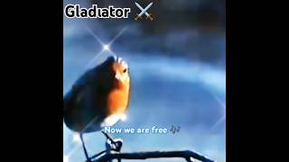 #gladiator ⚔️#Now We are Free 🎶#bestmoviescene #keşfet#keşfetedüş#trending #russelcrowe#subscribe 👍