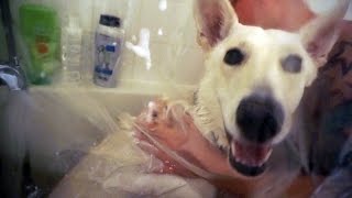 Giving Luna A Bath! | 02.22.17