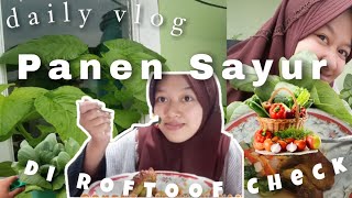 Daily vlog panen sayur lahan sendiri check 😋🍀