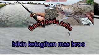 mantap!!masih pake rell OKUMA EPIXOR LS20 II casting barramundi bikin ketagihan