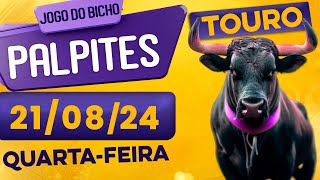 PALPITE DO DIA 21/08/2024 - JOGO DO BICHO 🍀 TODAS AS LOTERIAS 🍀