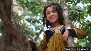 Beauty and Culture Of Northern Area Of Pakistan